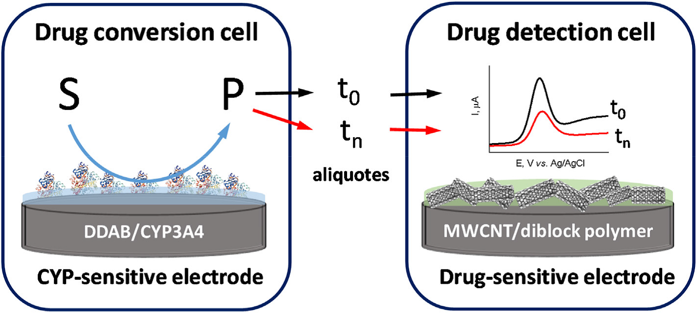 Two-electrode setup for the estimation of CYP3A4 enzymatic activity